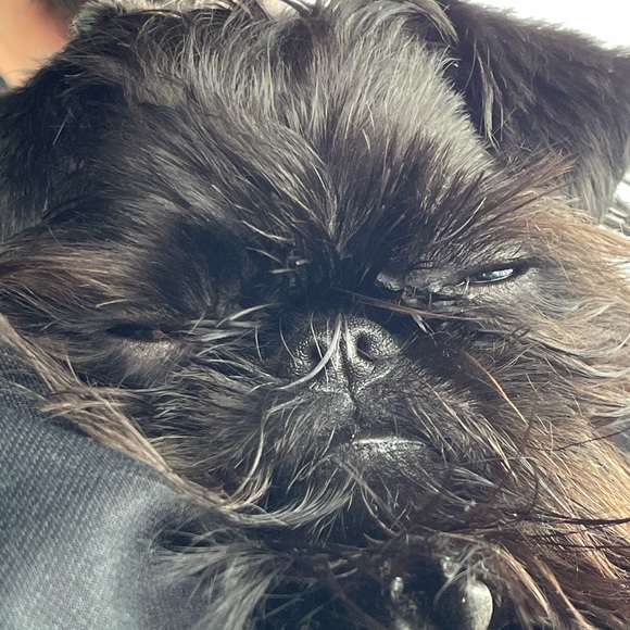 Welcome to my closet! - Picture 2 of 2